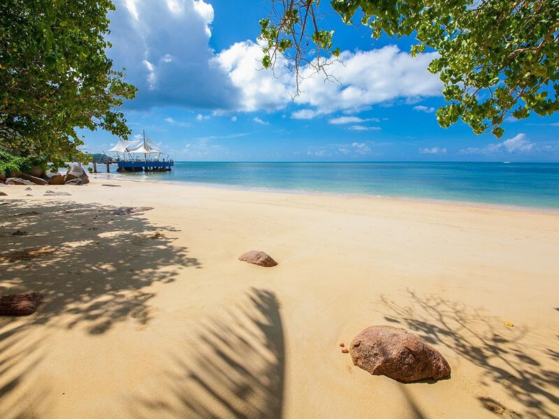 Coco De Mer & Black Parrot Suites