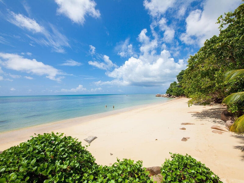 Coco De Mer & Black Parrot Suites