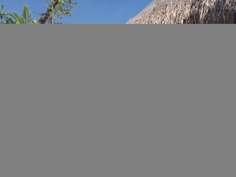 Coco Palm Dhuni Kolhu