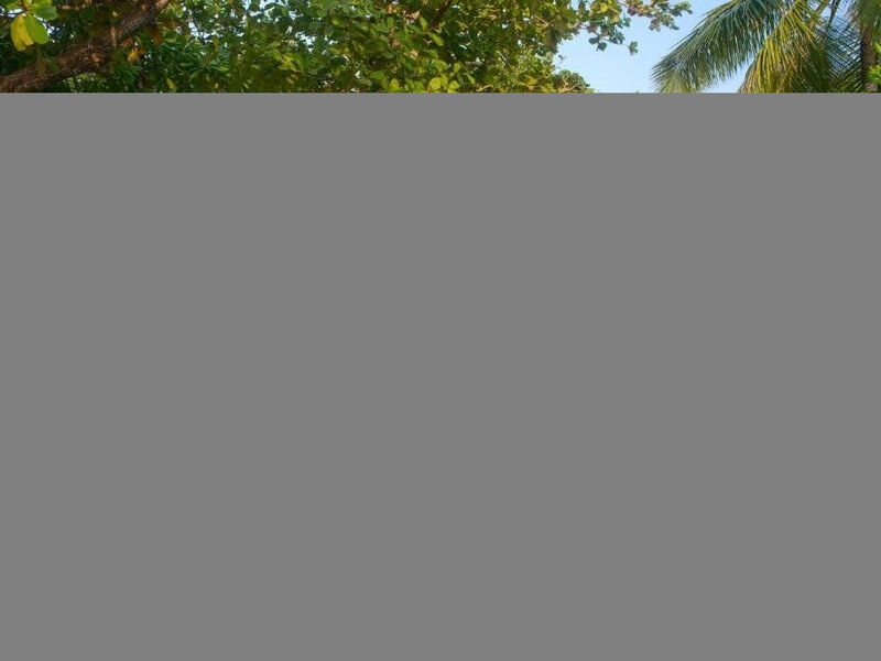 Coco Palm Dhuni Kolhu