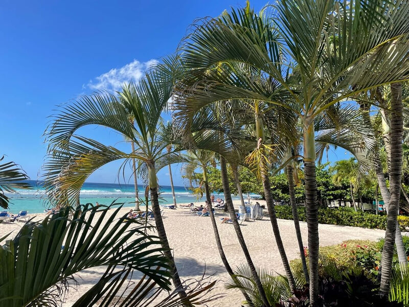 Coconut Court Beach