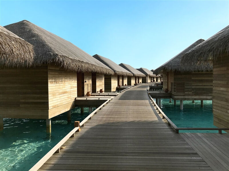 Cocoon Maldives