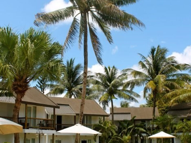 Cocotiers