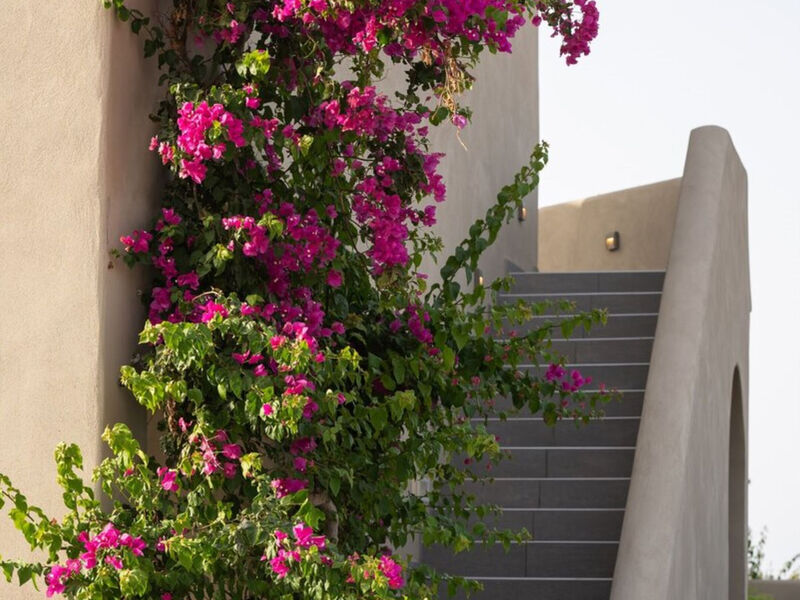 Colombo'S Beachfront