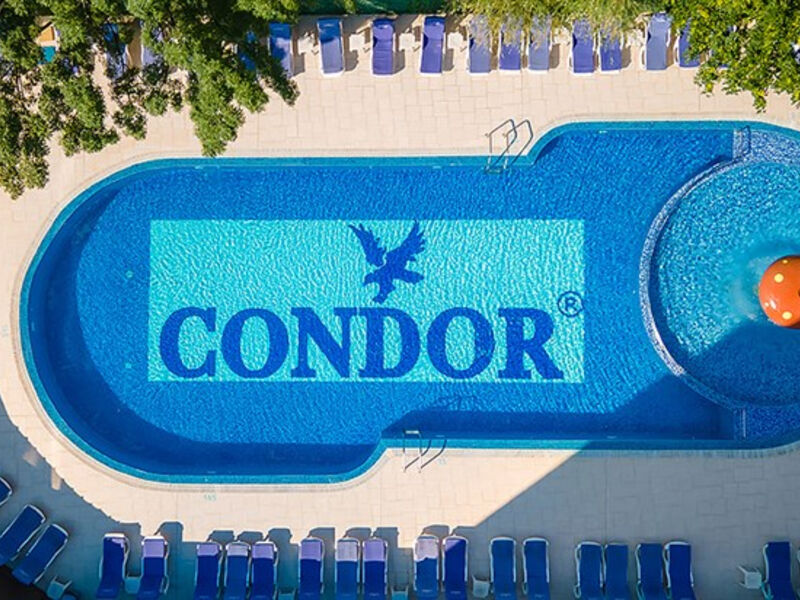 Mpm Condor