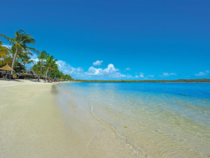 Constance Le Prince Maurice