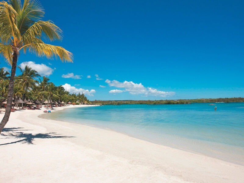 Constance Prince Maurice