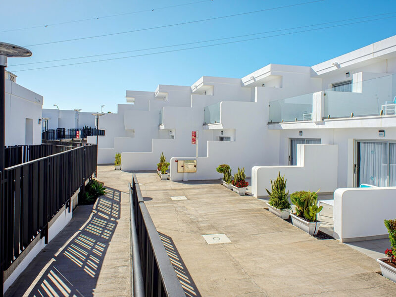 Cooee Taimar