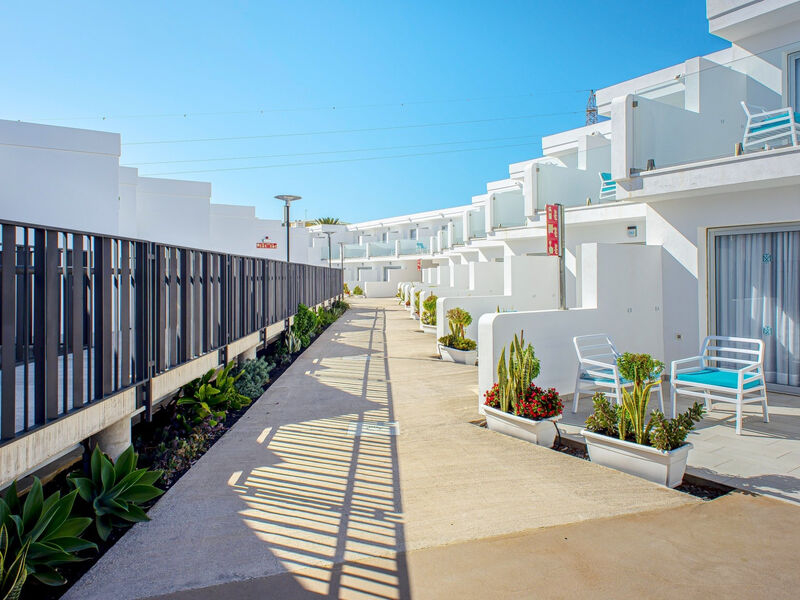 Cooee Taimar