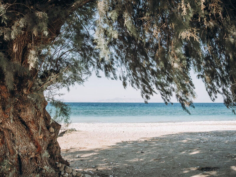 Cook‘S Club Ialyssos Rhodes