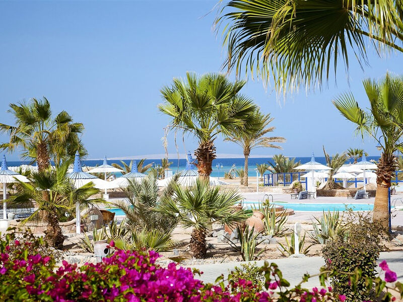 Coral Beach