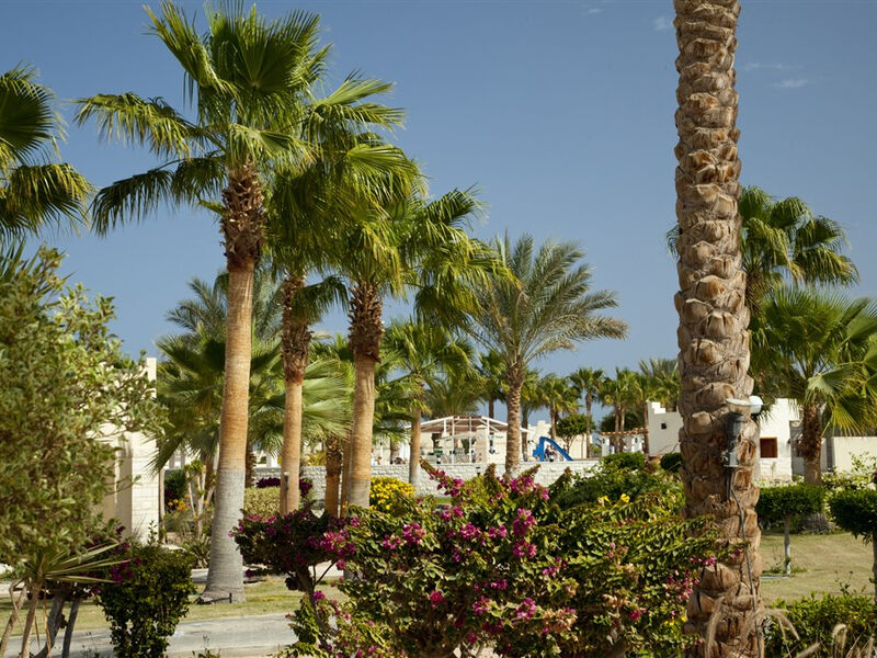 Coral Beach