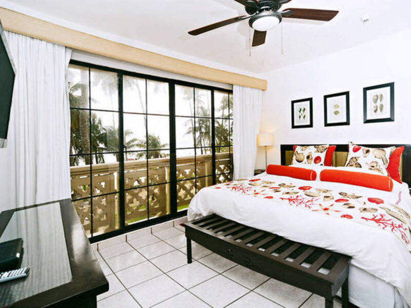 Coral Costa Caribe