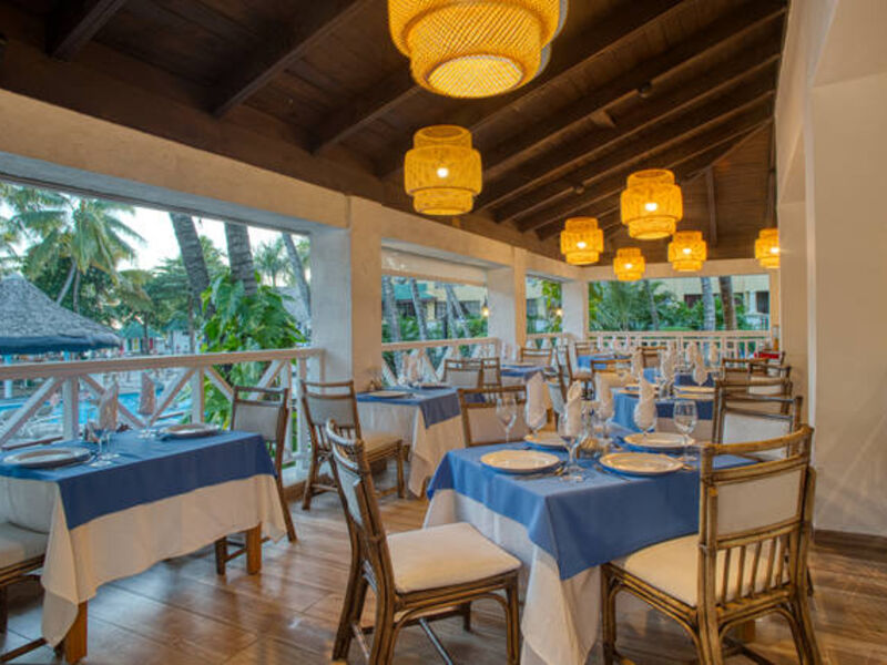 Coral Costa Caribe