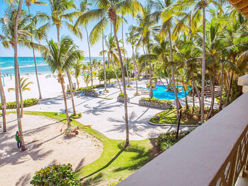 Coral Costa Caribe