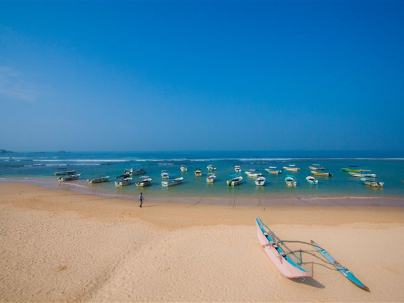 Coral Sands