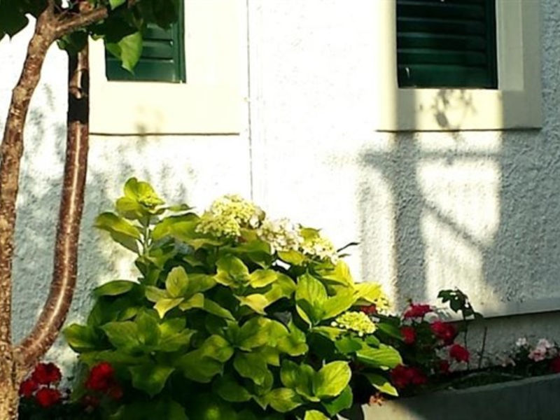 Corifo Village