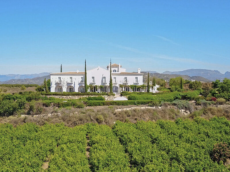 Cortijo Bravo