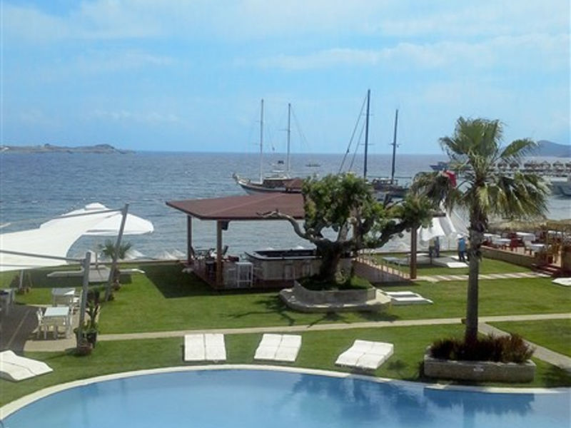Costa Luvi