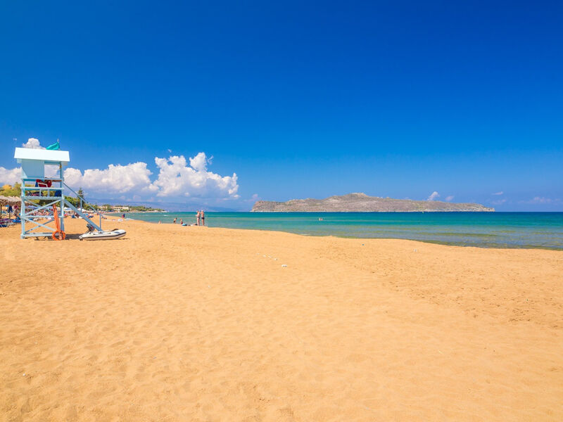 Creta Palm