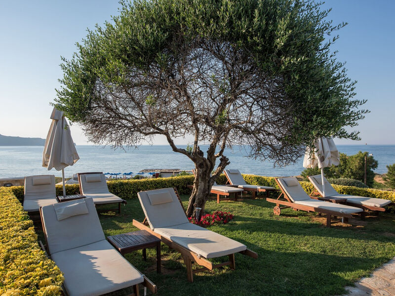 Cretan Dream Resort & Spa