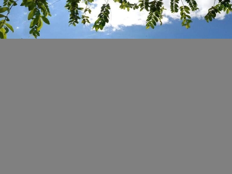 Cristal Ballena Boutique Hotel & Spa