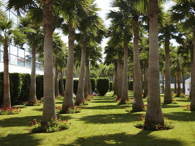Cs Madeira Atlantic Resort & Spa