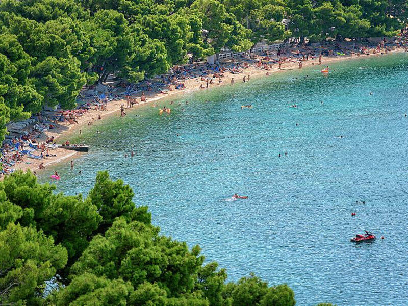Dalmacija