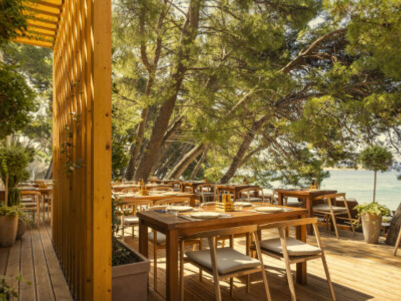 Dalmacija Sunny