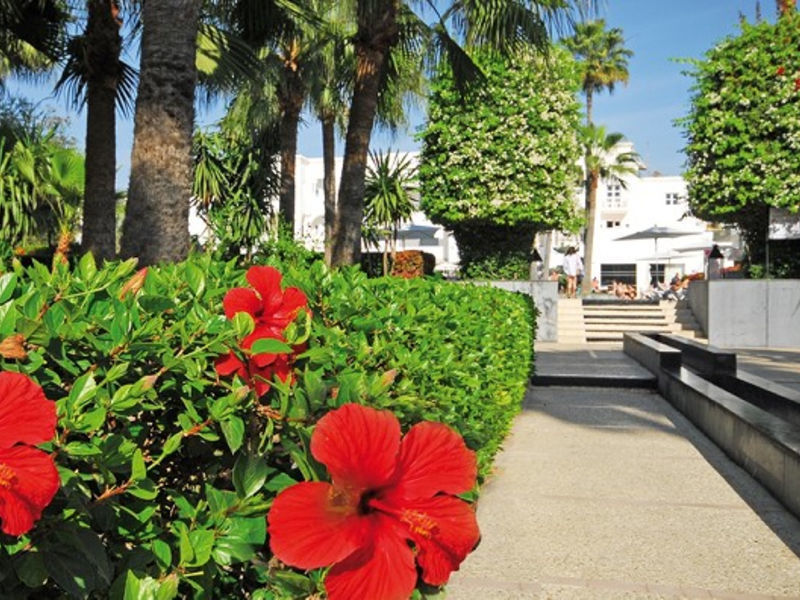 Decameron Tafoukt