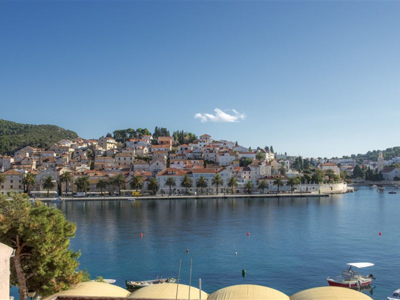 Delfin Hvar