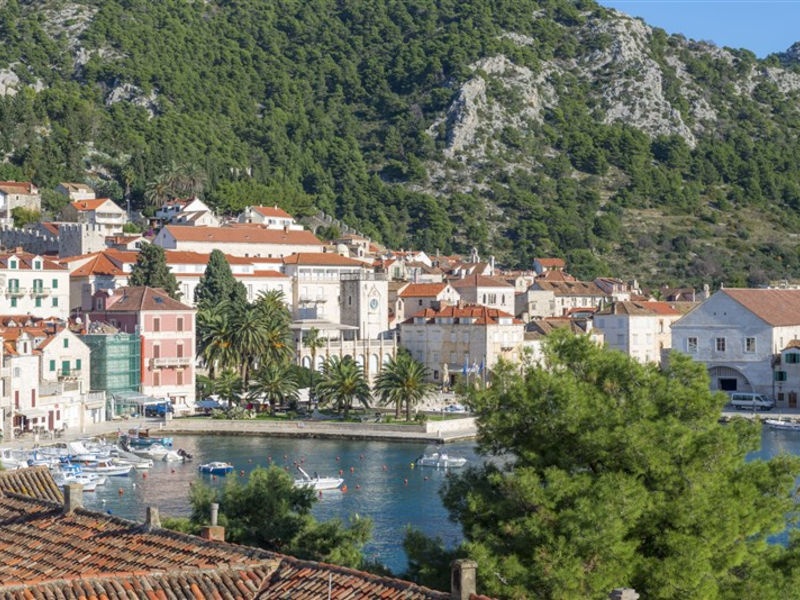 Delfin Hvar