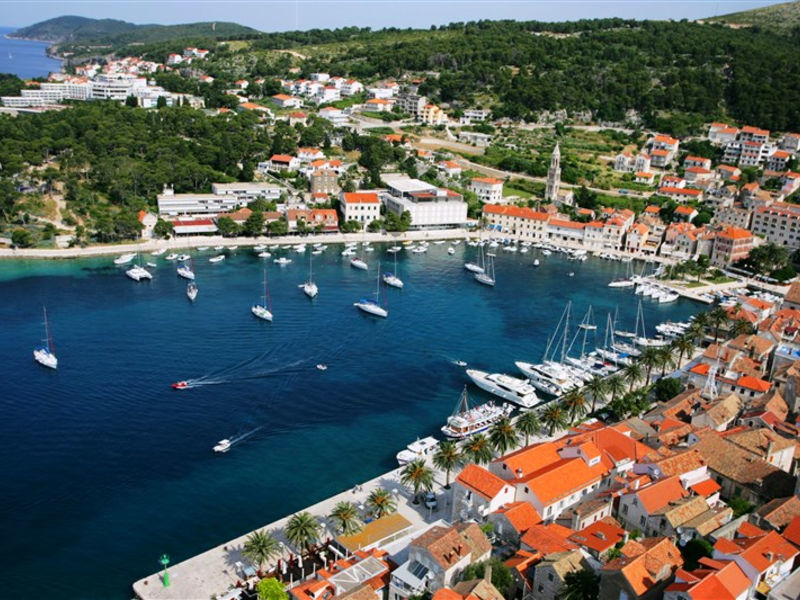 Delfin Hvar