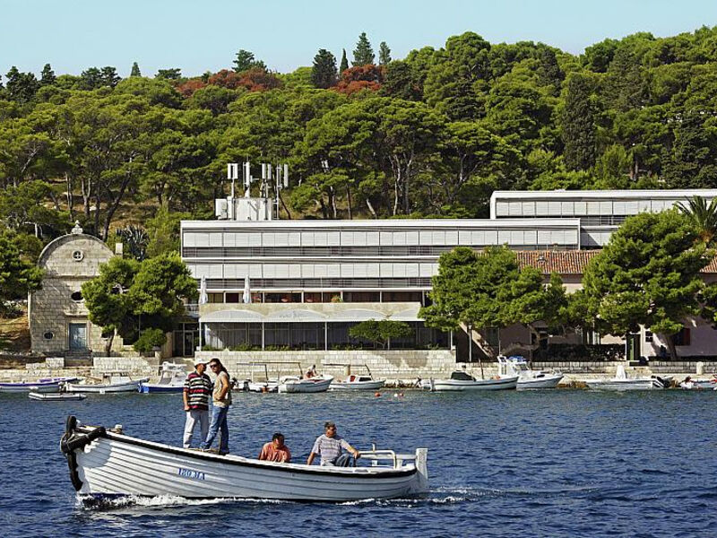 Delfin Hvar