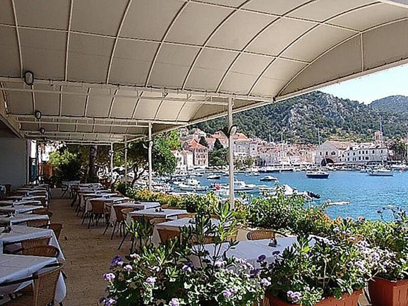 Delfin Hvar