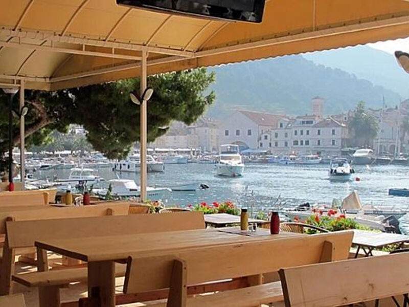 Delfin Hvar