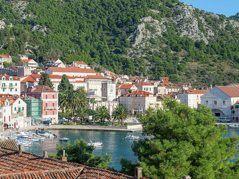 Delfin Hvar