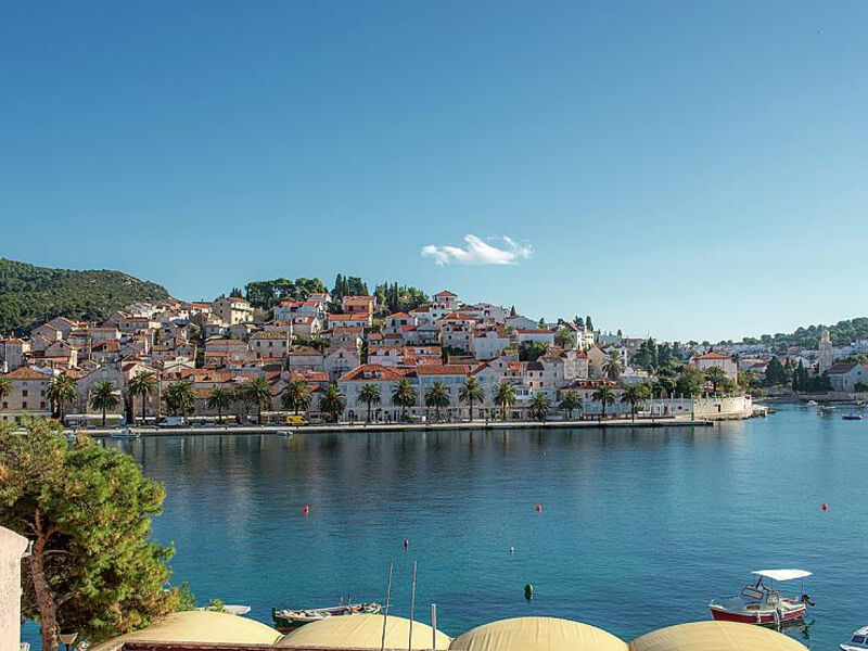 Delfin Hvar