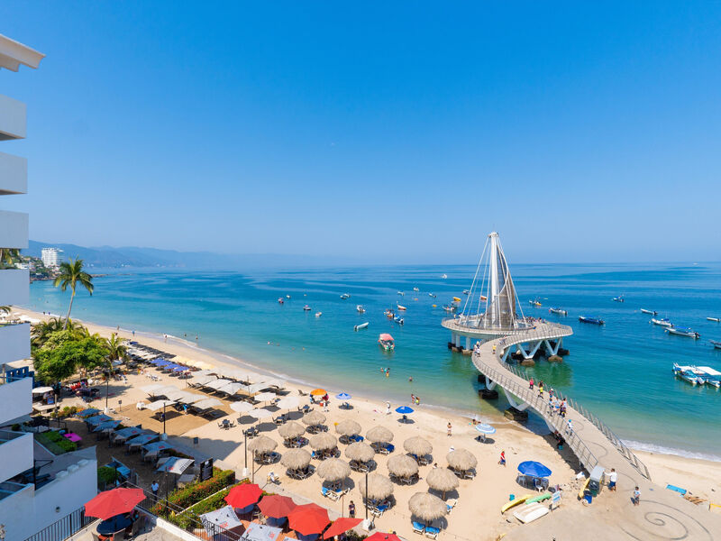 Delfin Puerto Vallarta