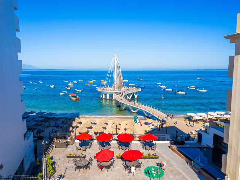 Delfin Puerto Vallarta