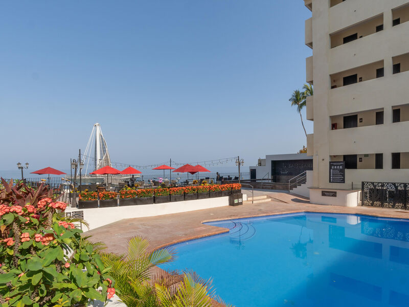 Delfin Puerto Vallarta