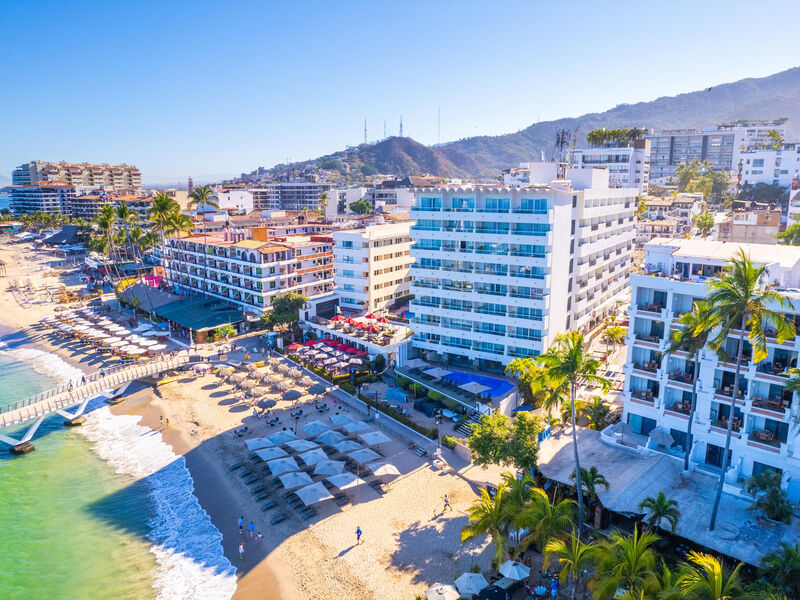 Delfin Puerto Vallarta