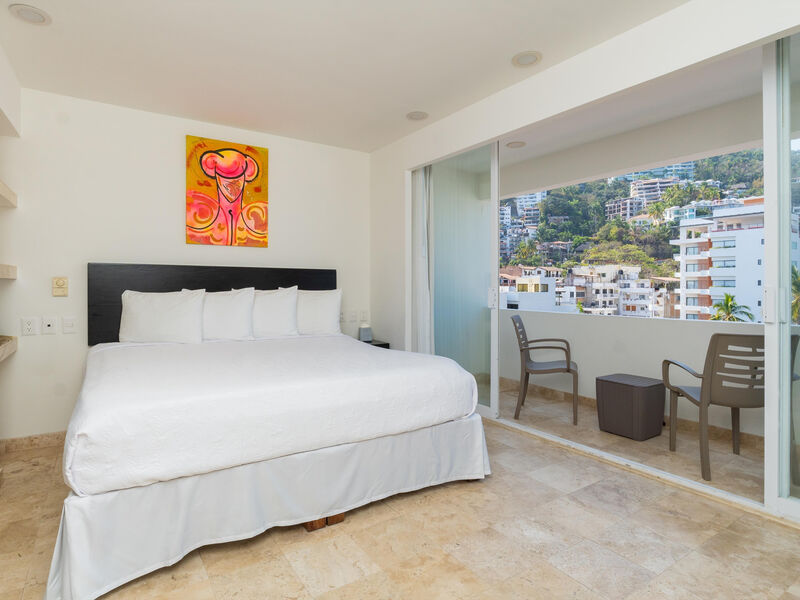 Delfin Puerto Vallarta