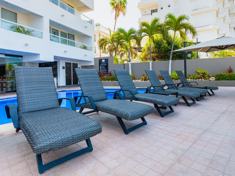 Delfin Puerto Vallarta