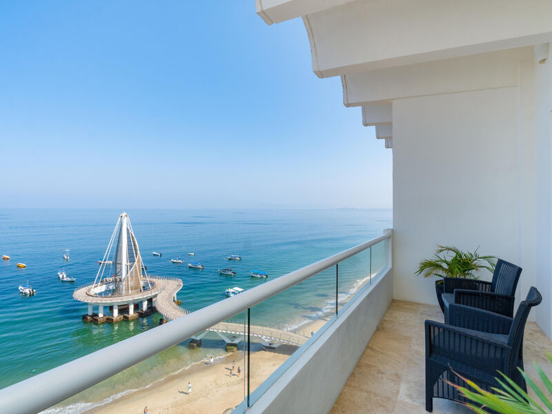 Delfin Puerto Vallarta