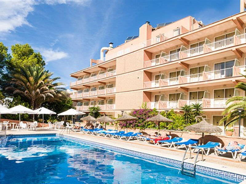 Delfin Siesta Mar