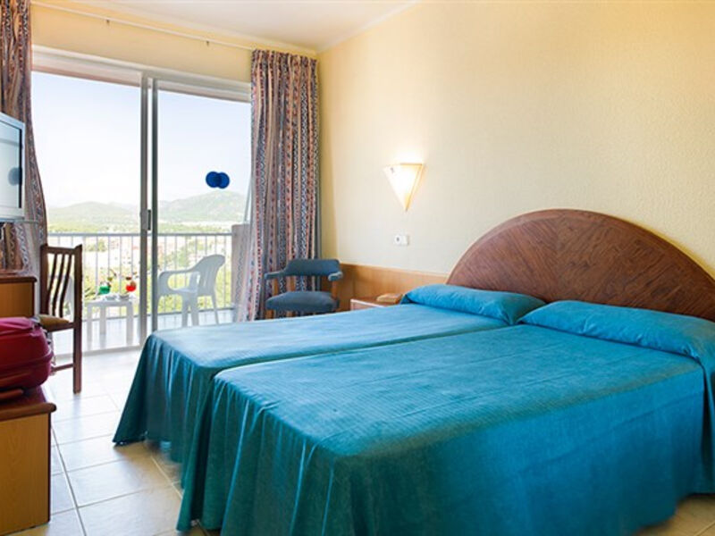 Delfin Siesta Mar