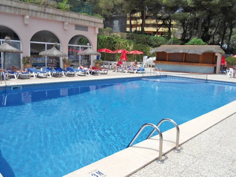 Delfin Siesta Mar