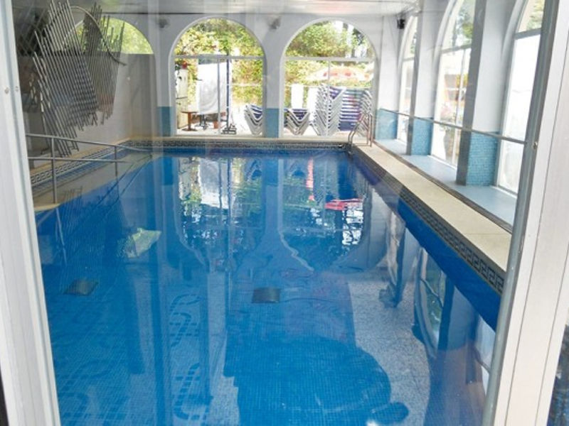 Delfin Siesta Mar