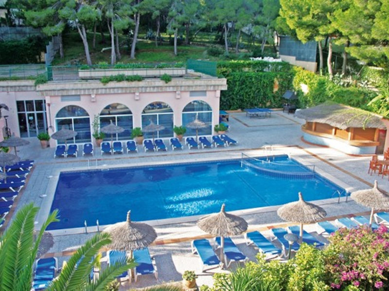 Delfin Siesta Mar